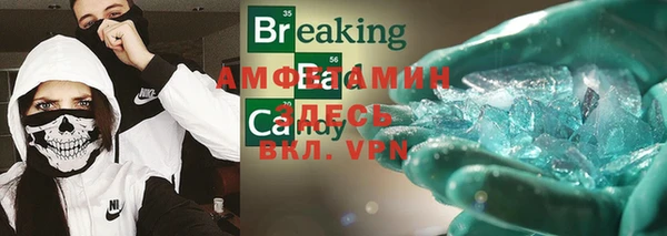 ПСИЛОЦИБИНОВЫЕ ГРИБЫ Заполярный